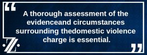 domestic violence assessment of evidence